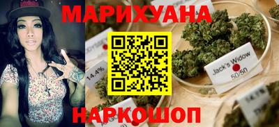 apvp Аша