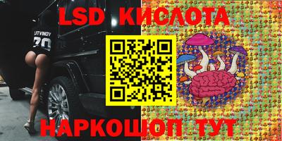прущие грибы Баксан